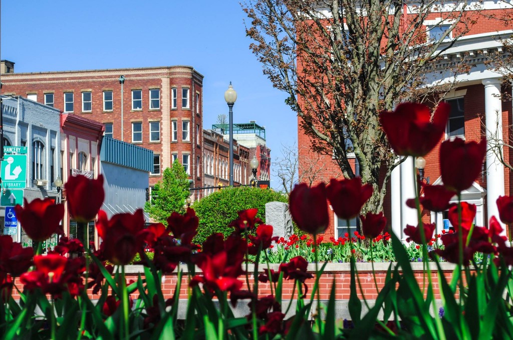 CITY OF BUCKHANNON » Buckhannon 2020 Plan