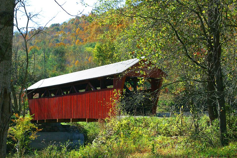 CITY OF BUCKHANNON » Attractions